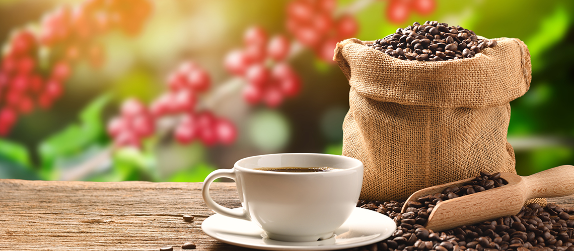 1140×500-Slider5