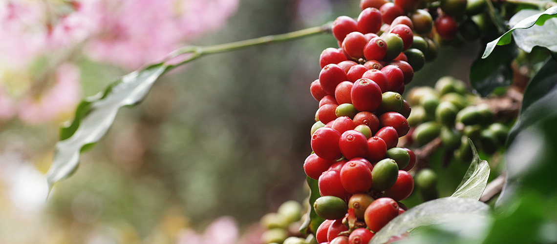 1140×500-Slider6